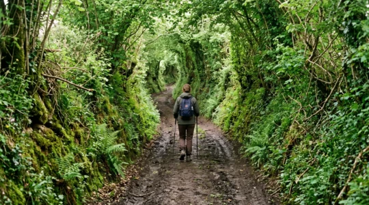 Un randonneur marche dans un chemin creux bordé de haies bocagères hautes en Normandie.